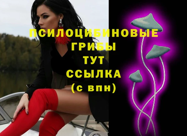 гидропоника Инсар