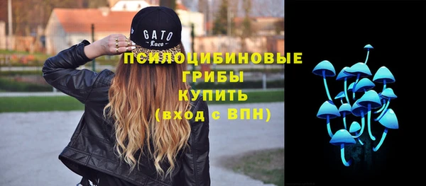 гидропоника Инсар