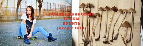 твердый Иннополис