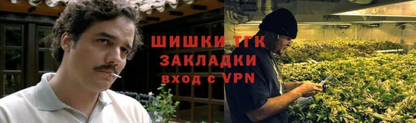 твердый Иннополис
