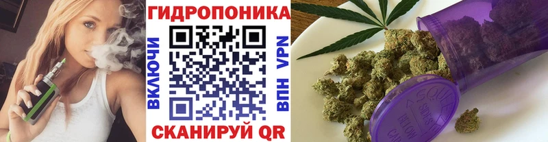 Конопля OG Kush Изобильный